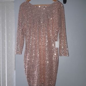 Rose Gold Sequin Dress